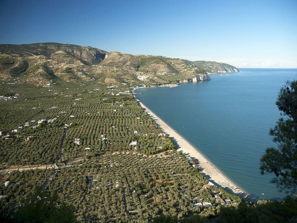 Hotel Alba Del Gargano Матината Екстериор снимка